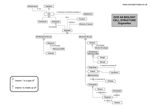 OCR AS Level Biology - Cell Structure