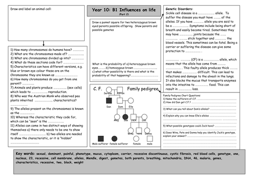 B1 Revision - Influences on Life (Part 2)