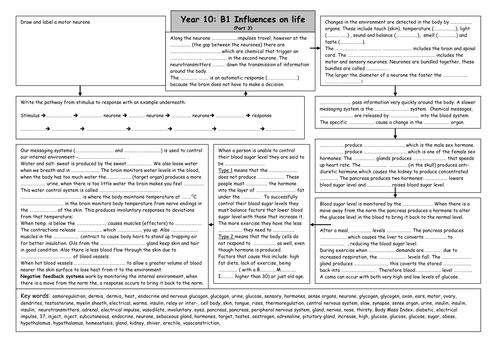 B1 Revision - Influences on Life (Part 3)