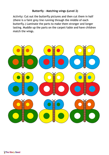 PSRN: Butterfly Wings - Colour Matching (Level 2)