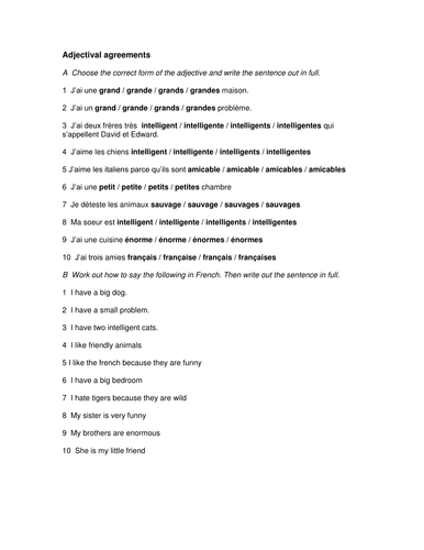 Introduction to Adjectival Agreement