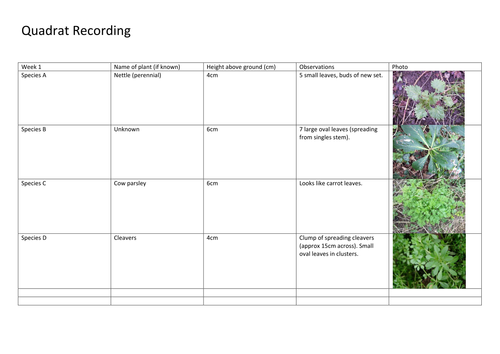 Growth and Change - A Spring Term Project