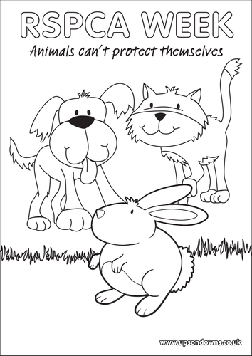 RSPCA WEEK Animal Colouring Poster