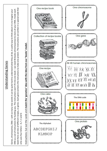 BTEC: Chromosomes, Genes, DNA