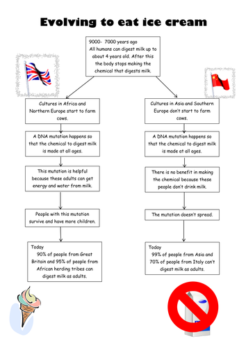 BTEC: Evolution of lactose tolerance