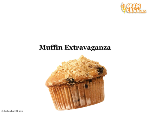 Muffin Extravaganza