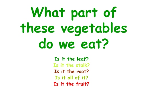 What part of the plant do we eat?