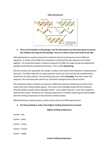 DNA Hybridisation error correction