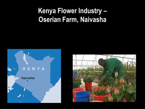 Kenya Flower Industry