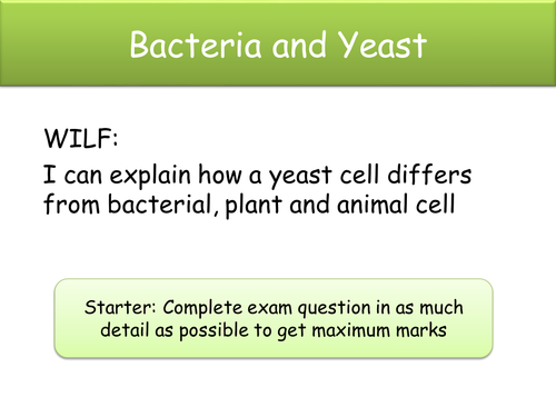 NEW AQA B2  Yeast and Bacteria | Teaching Resources