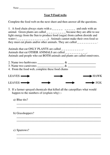 food webs worksheet