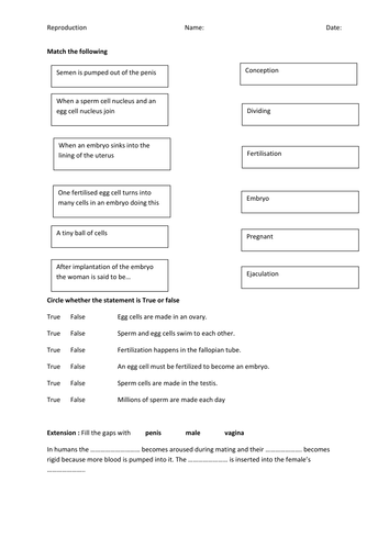 Fertilisation recap worksheet