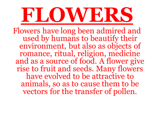 About Flowers