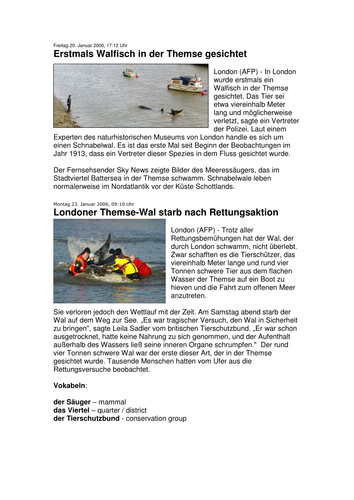 Walfisch in der Themse