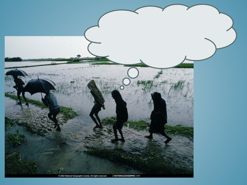 Qu'est-ce qu'ils pensent?