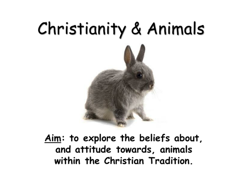 Christian Views about Animals