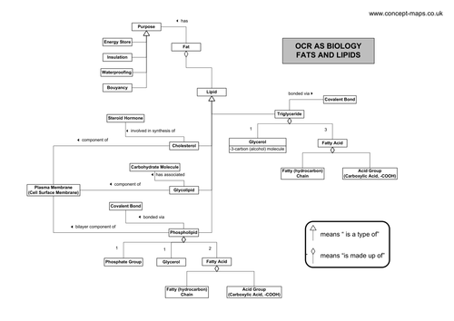 OCR AS Level Biology - Lipids
