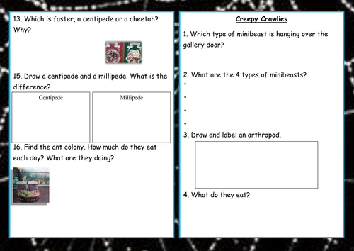 natural history museum activity booklets teaching resources