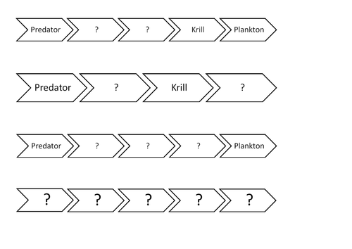 Antarctica food chain templates/gap-fill