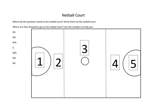 Netball court worksheet by nwhitby22 - Teaching Resources - Tes