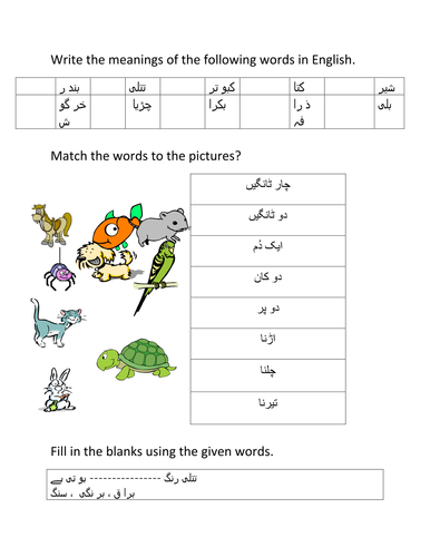 animals in urdu by masoodhas teaching resources tes