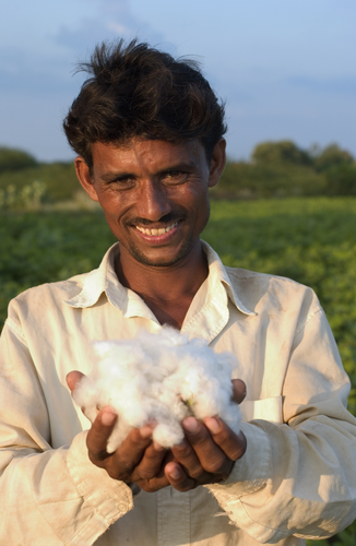 India Cotton Farmers 4