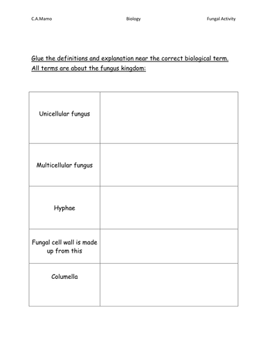 cut-and-glue-the-term-teaching-resources