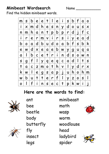 Minibeast Worksheets by ehazelden - Teaching Resources - Tes