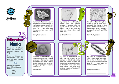 Primary - Microbe Mania: Pupil Sheets