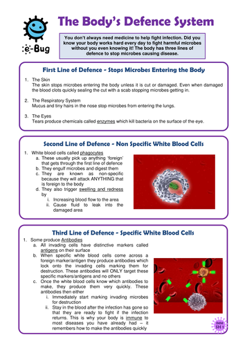 Primary - Immunity: Pupil Sheets