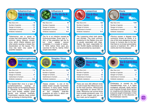 Secondary - Introduction to Microbes: Pupil Sheets