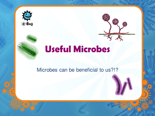 Secondary - Useful Microbes: Multimedia