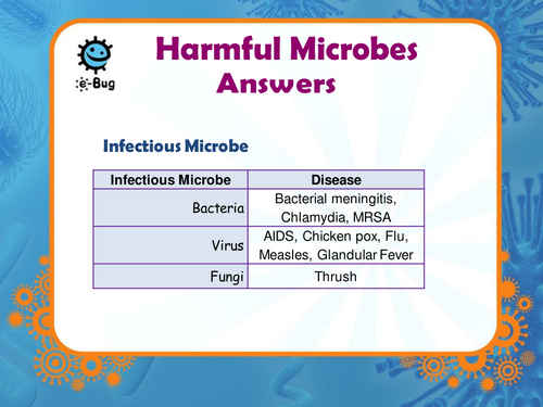 Secondary - Harmful Microbes: Multimedia