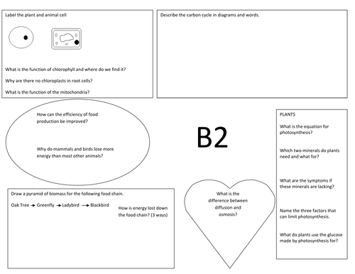 B2 Revision
