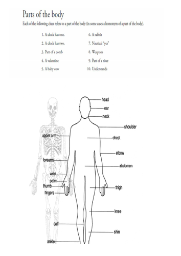 Parts of the body | Teaching Resources