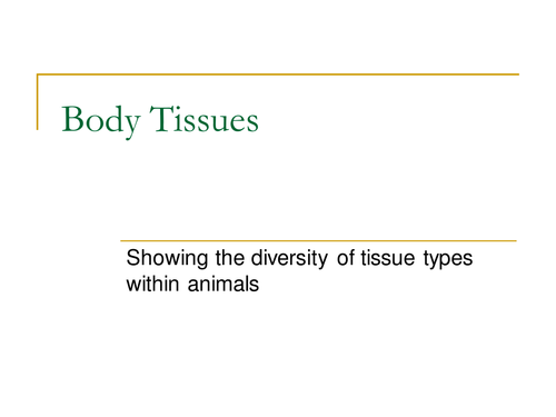 Body Tissues