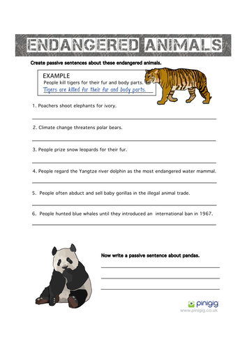 Printables Endangered Species Worksheets endangered animals the passive voice by jobowler teaching resources tes