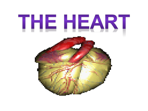 The human heart | Teaching Resources