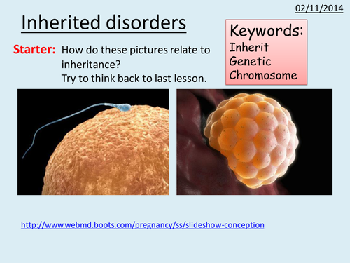 Genetic disorders research and presentation task