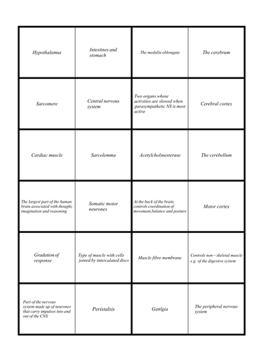 Brain, muscle and movement dominoes (OCR A2)