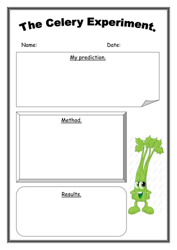 The Celery Experiment by Jenkate  Teaching Resources