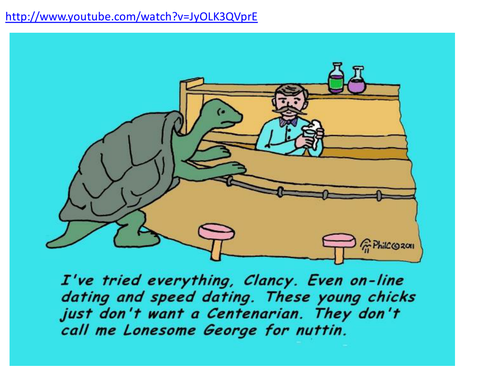 Lonesome George Story