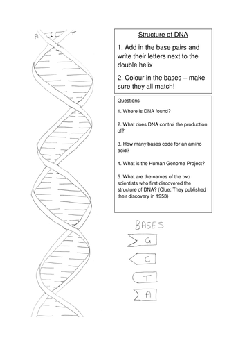 OCR Gateway Science B3 DNA | Teaching Resources