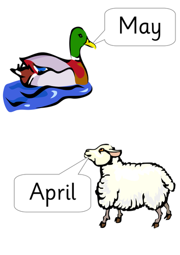 months of the year display