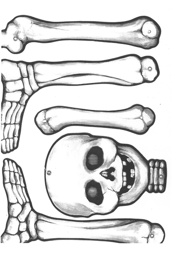 skeleton images of bones to cut and make by basketballgirl - Teaching