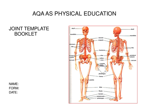 Joint Movement Template | Teaching Resources