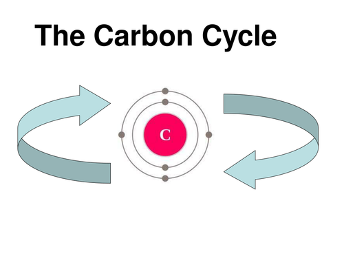 Carbon Cycle PowerPoint