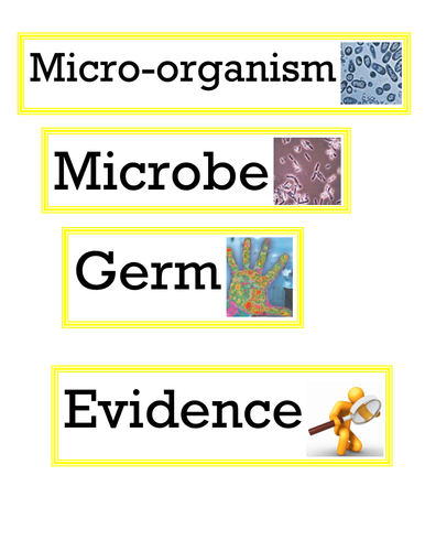 Vocabulary Display - Unit 6B: Microorganisms