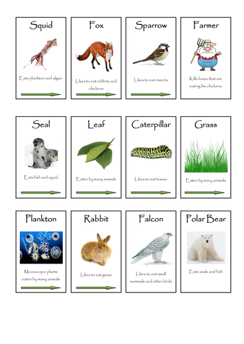 grade animal worksheet 2nd and Scheme Animals Microbes KS2 Plants, KS3 by Full