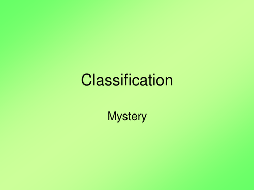 Gorilla/ Chimpanzee Mystery